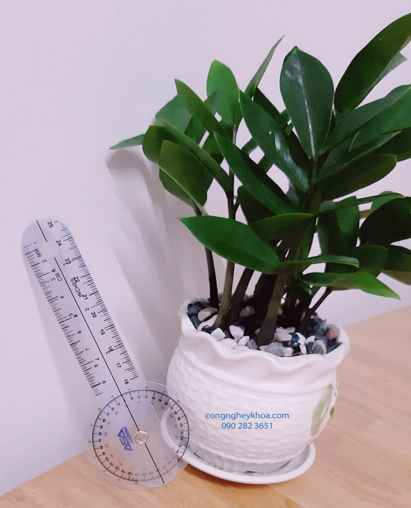 Thước đo tầm vận động nhỏ