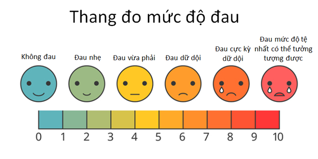 Bài 6: Lượng giá đau