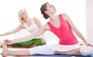 Các lĩnh vực nghiên cứu