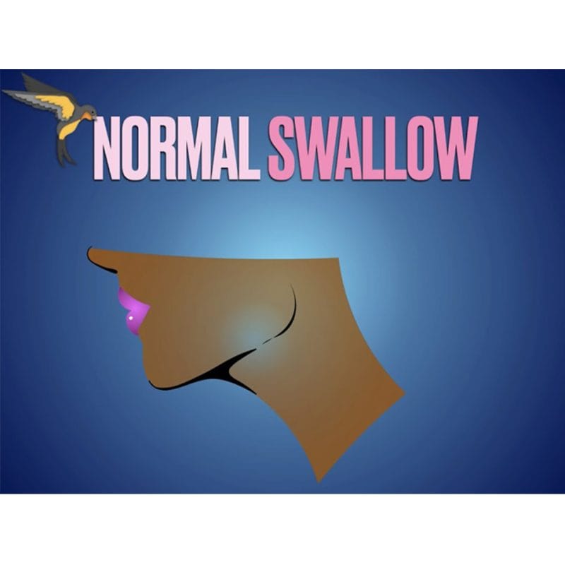 Quá trình nuốt bình thường