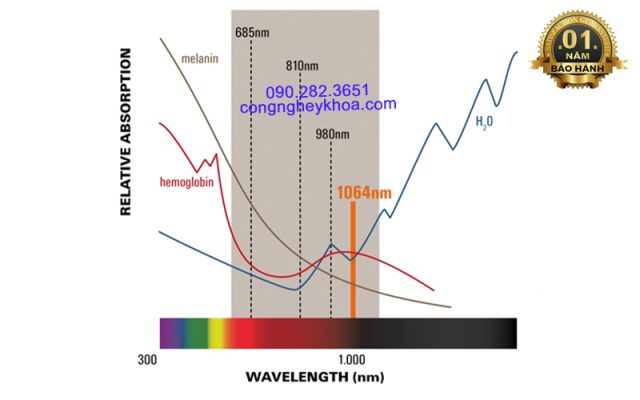 Sự hấp thụ năng lượng của các tế bào khi bước sóng 980nm có trong máy laser công suất cao VenaMed