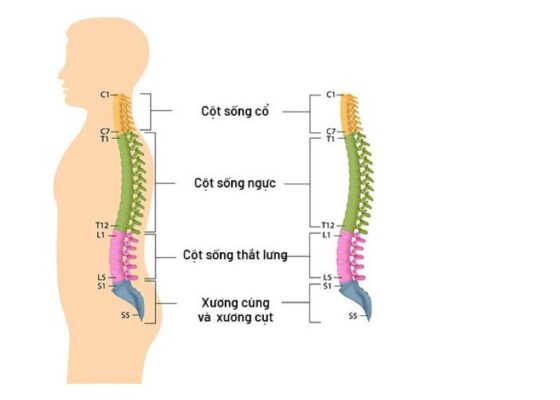 Cột sống thắt lưng bị đau