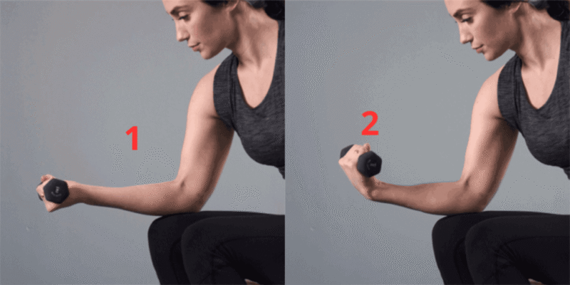 dụng cụ tập phục hồi chức năng tại nhà