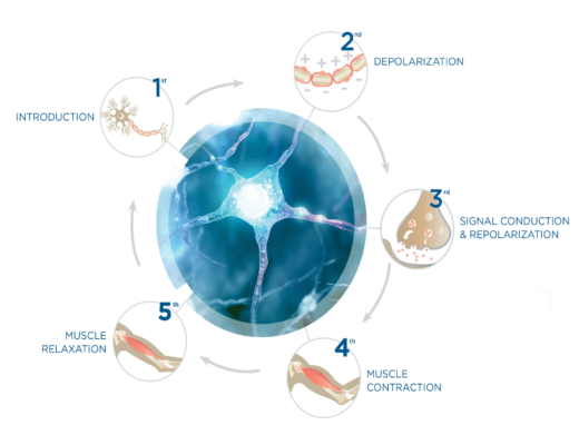 Sự tác động của từ trường siêu dẫn